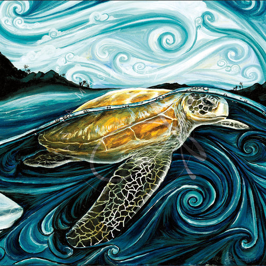 "Legend of Turtle & Shark"