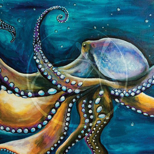 Octopus Letting Go Canvas