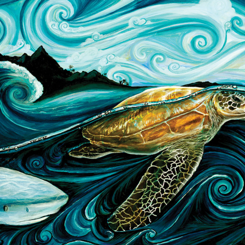 Turtle Shark Legend Samoa