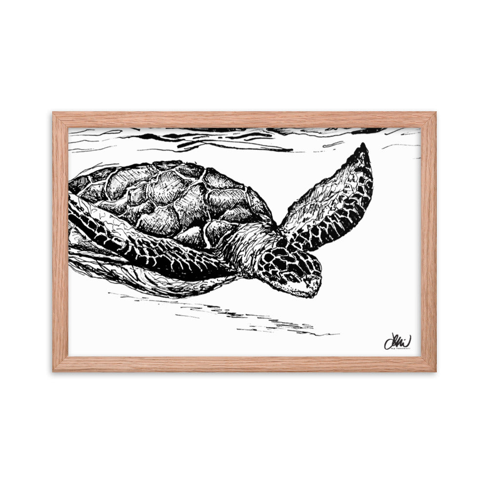 Turtle Swimming Sketch